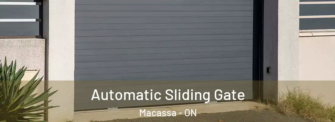  Automatic Sliding Gate Macassa - ON