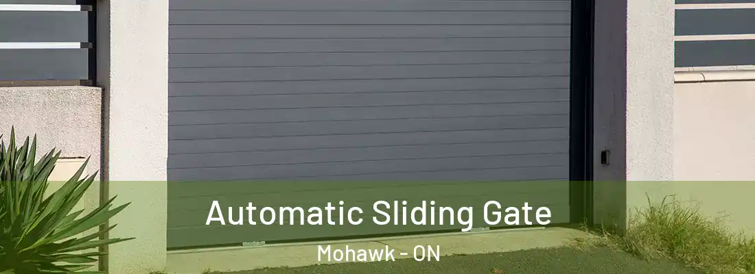  Automatic Sliding Gate Mohawk - ON