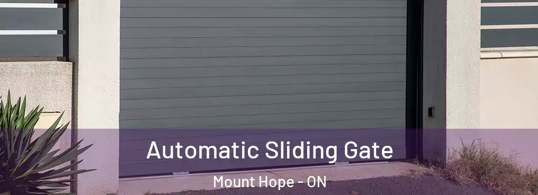  Automatic Sliding Gate Mount Hope - ON