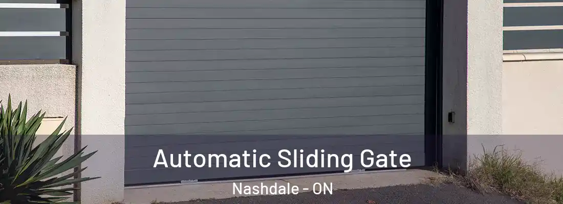  Automatic Sliding Gate Nashdale - ON