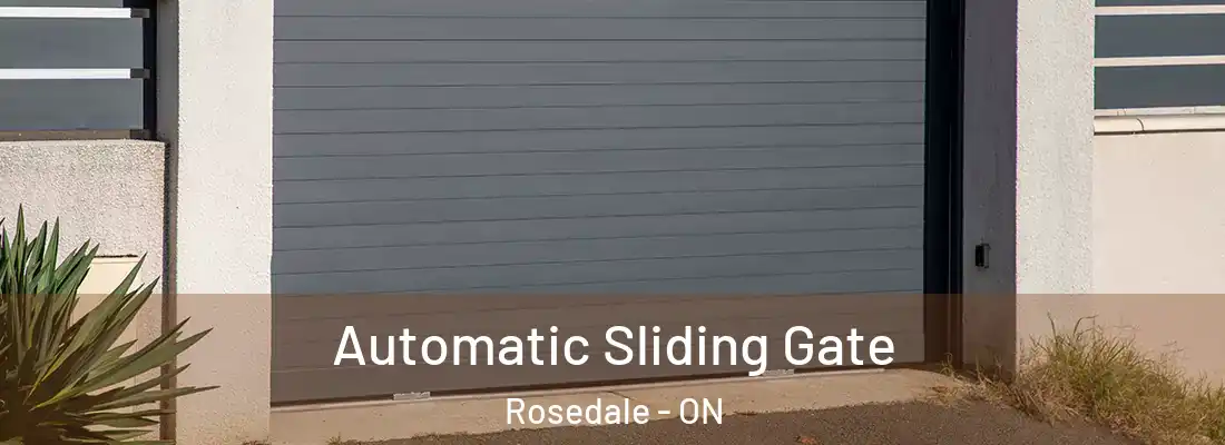  Automatic Sliding Gate Rosedale - ON