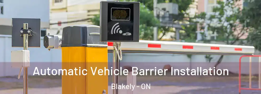  Automatic Vehicle Barrier Installation Blakely - ON