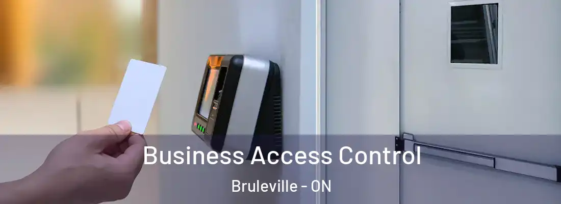  Business Access Control Bruleville - ON