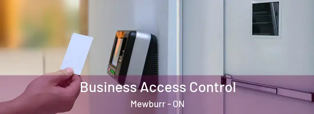  Business Access Control Mewburr - ON