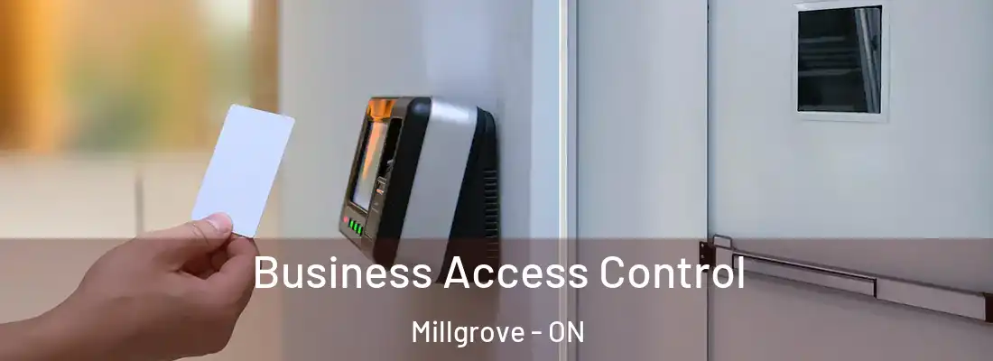  Business Access Control Millgrove - ON