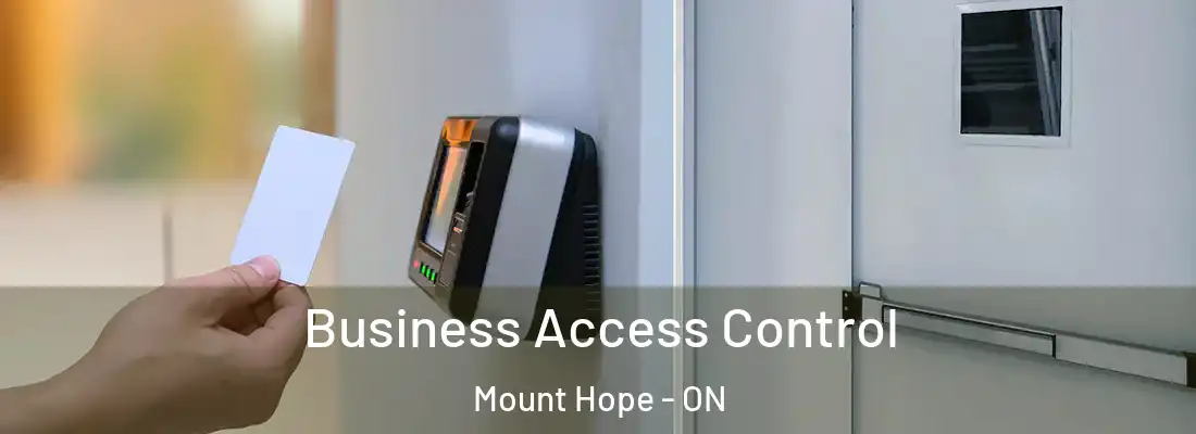  Business Access Control Mount Hope - ON