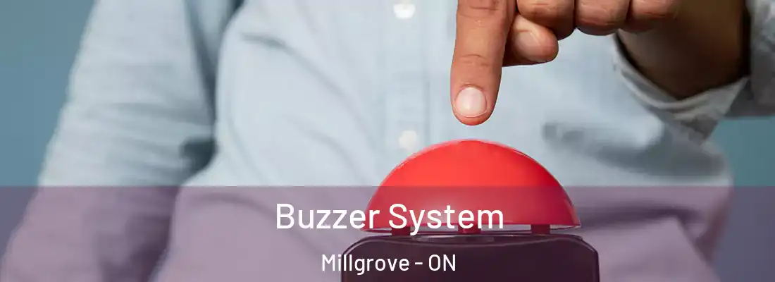  Buzzer System Millgrove - ON