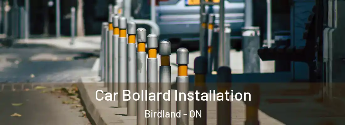  Car Bollard Installation Birdland - ON