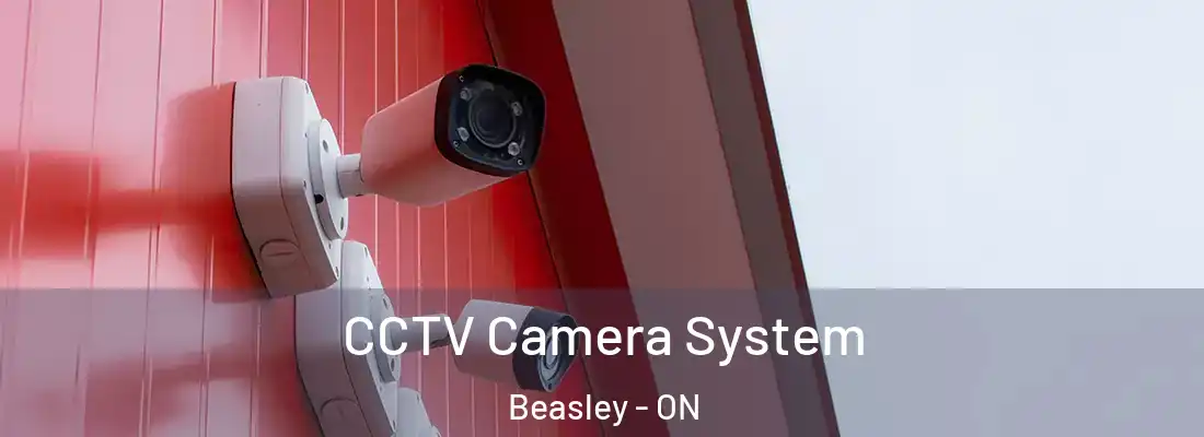  CCTV Camera System Beasley - ON
