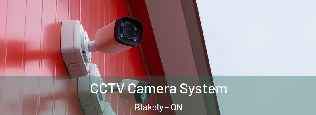  CCTV Camera System Blakely - ON