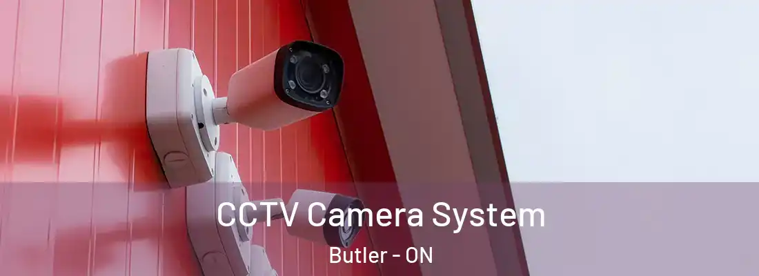 CCTV Camera System Butler - ON