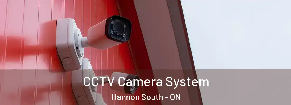  CCTV Camera System Hannon South - ON