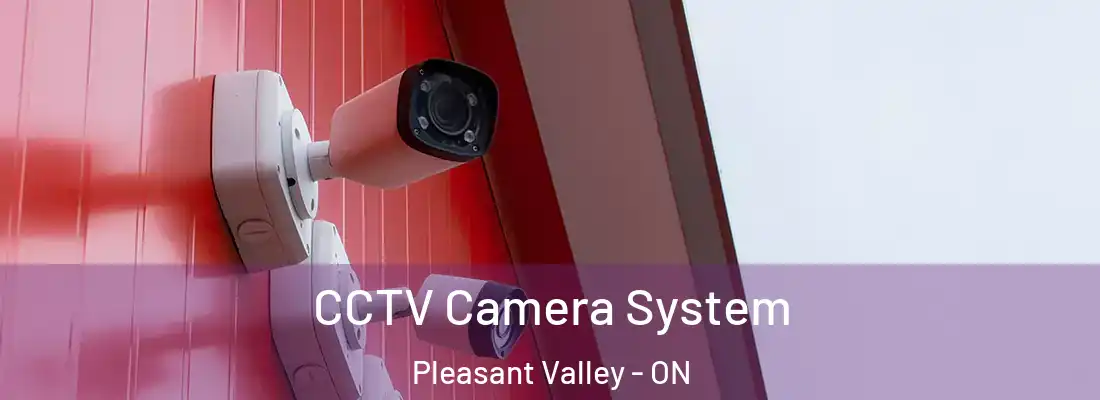  CCTV Camera System Pleasant Valley - ON
