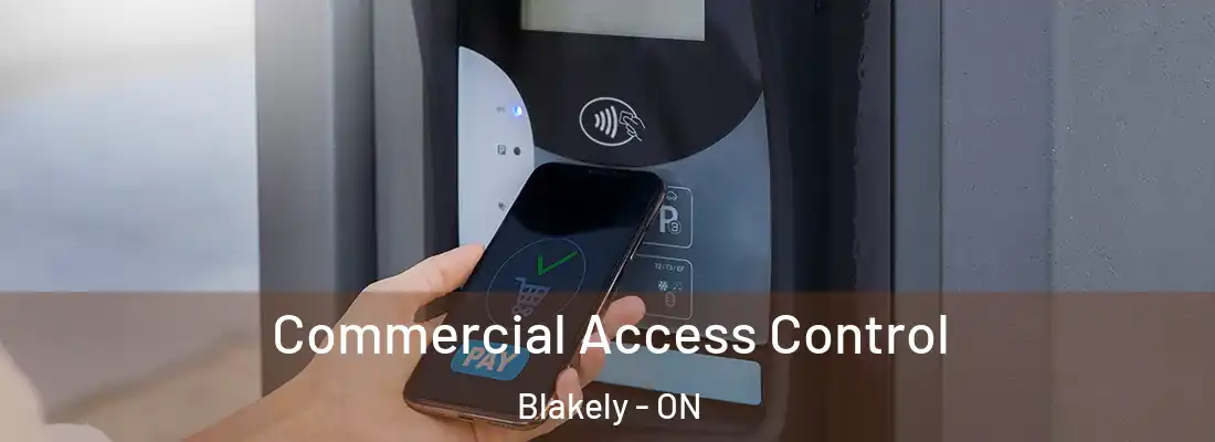 Commercial Access Control Blakely - ON