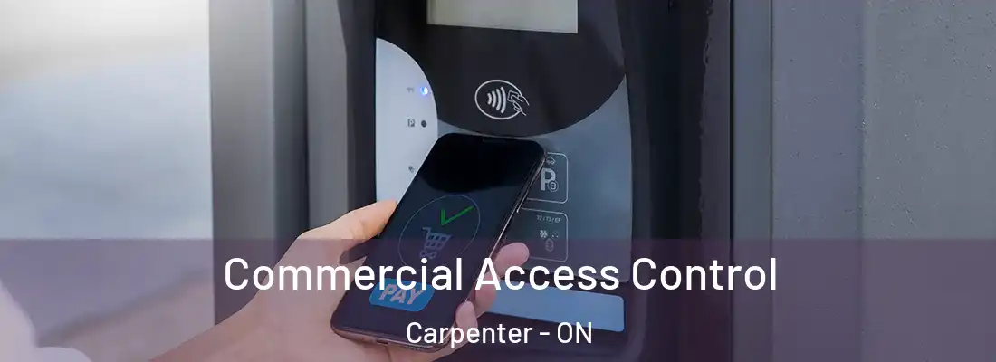  Commercial Access Control Carpenter - ON