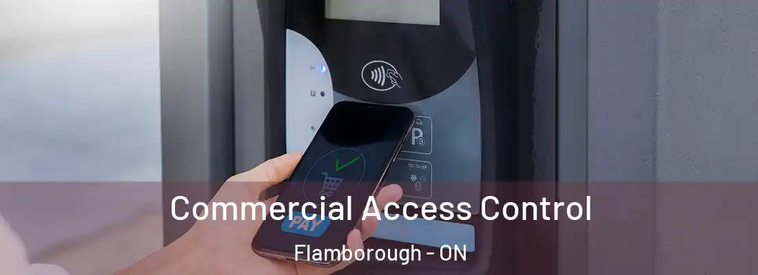  Commercial Access Control Flamborough - ON