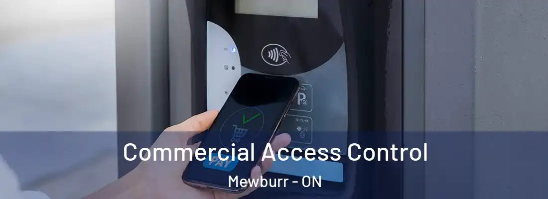  Commercial Access Control Mewburr - ON