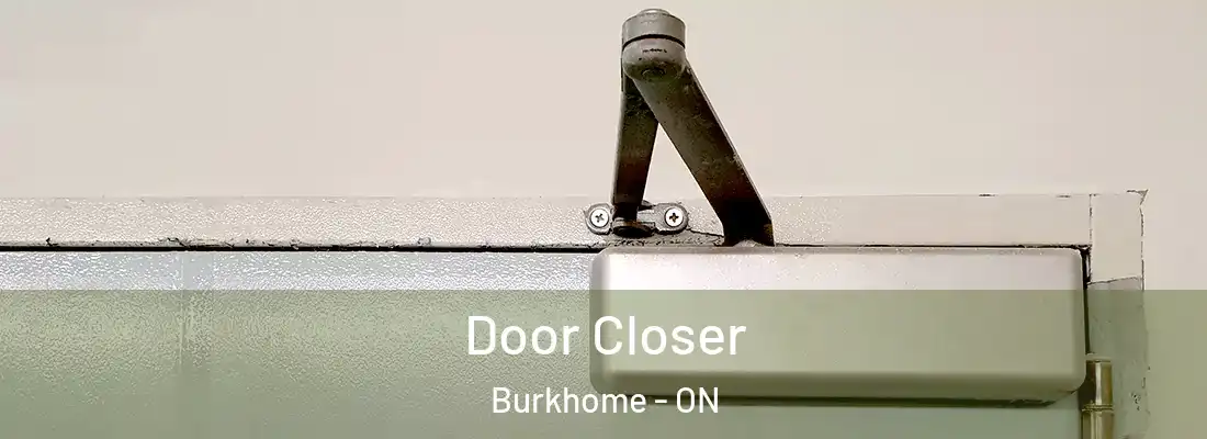  Door Closer Burkhome - ON