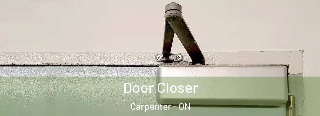  Door Closer Carpenter - ON