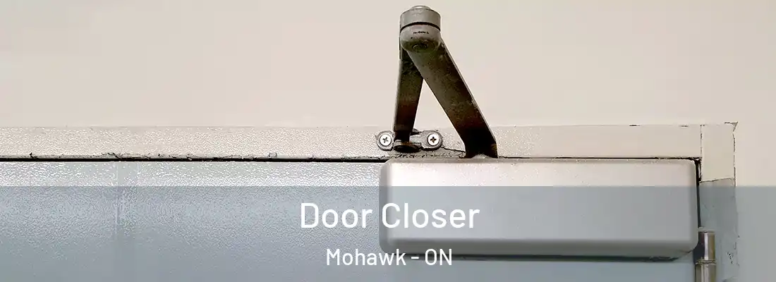  Door Closer Mohawk - ON