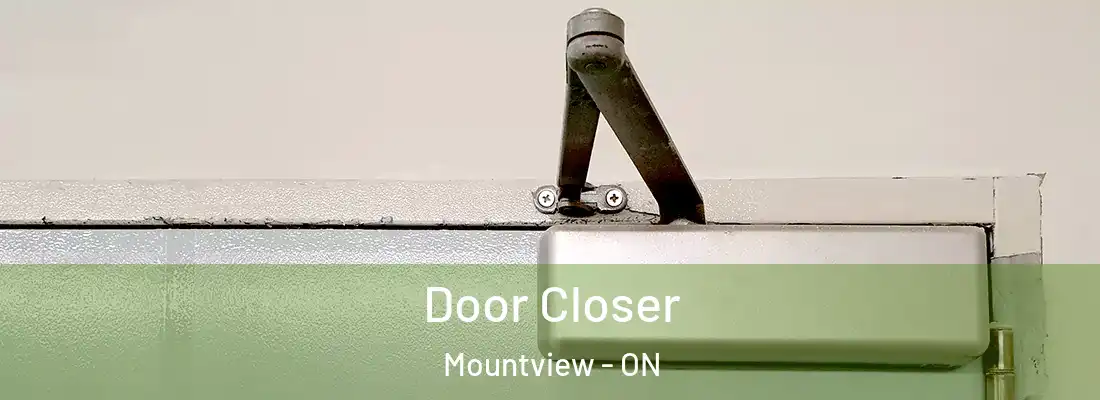  Door Closer Mountview - ON