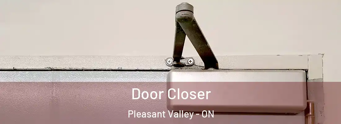  Door Closer Pleasant Valley - ON