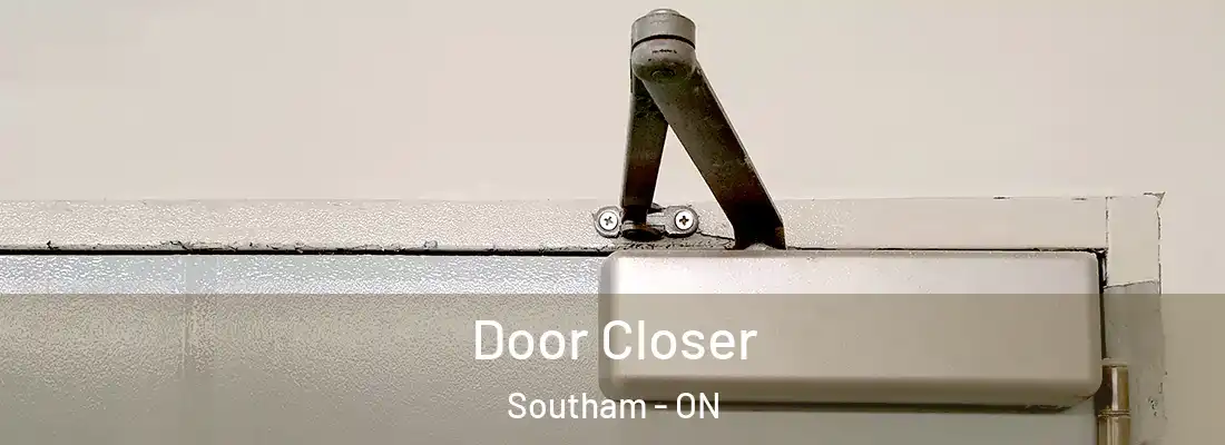  Door Closer Southam - ON