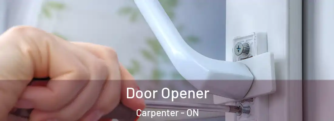  Door Opener Carpenter - ON