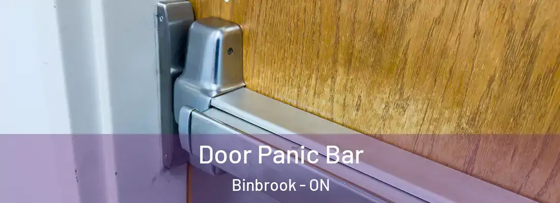  Door Panic Bar Binbrook - ON