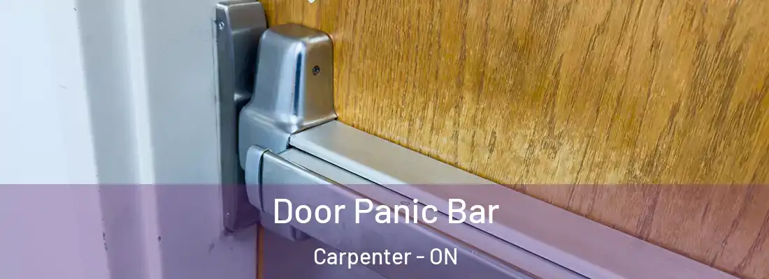  Door Panic Bar Carpenter - ON