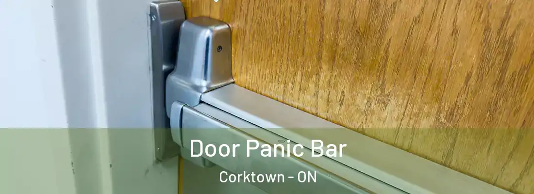  Door Panic Bar Corktown - ON