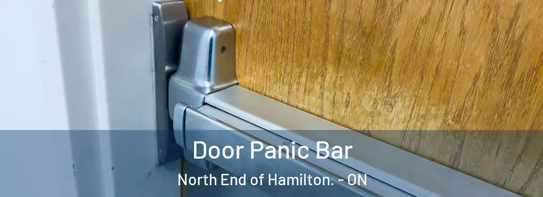  Door Panic Bar North End of Hamilton. - ON