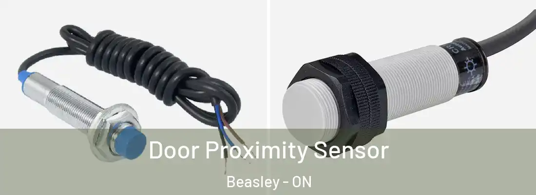  Door Proximity Sensor Beasley - ON
