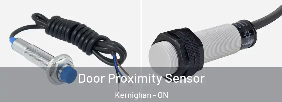  Door Proximity Sensor Kernighan - ON