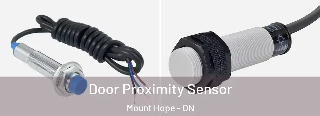  Door Proximity Sensor Mount Hope - ON