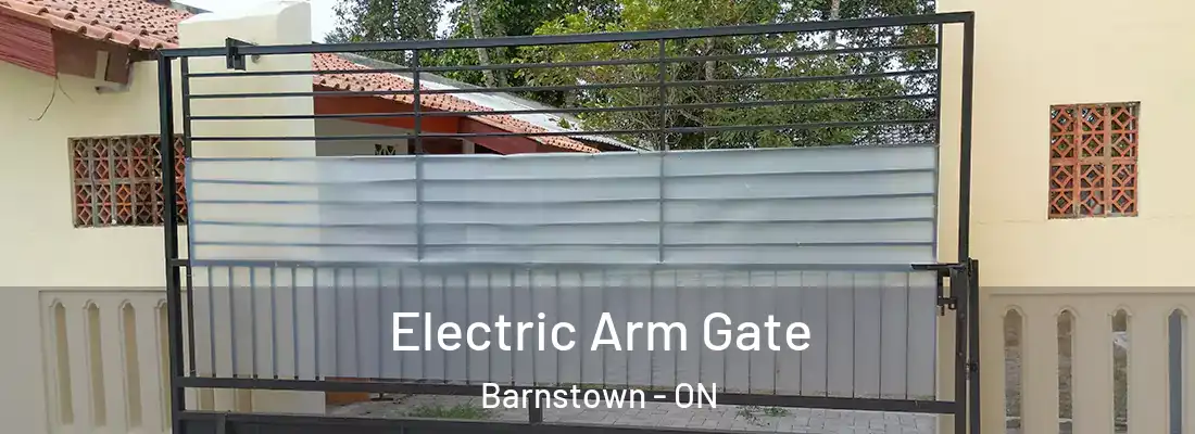  Electric Arm Gate Barnstown - ON