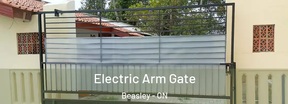  Electric Arm Gate Beasley - ON