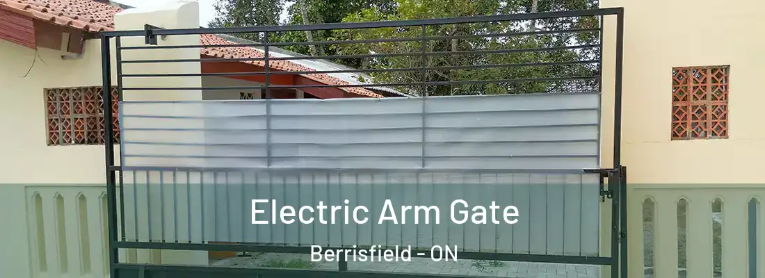 Electric Arm Gate Berrisfield - ON
