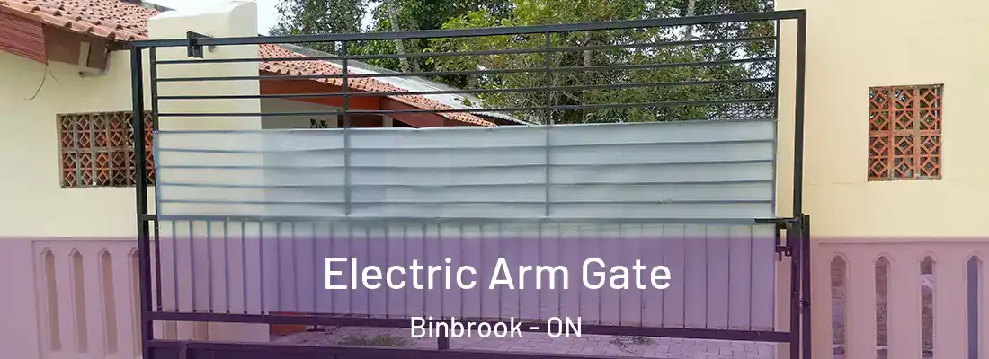  Electric Arm Gate Binbrook - ON