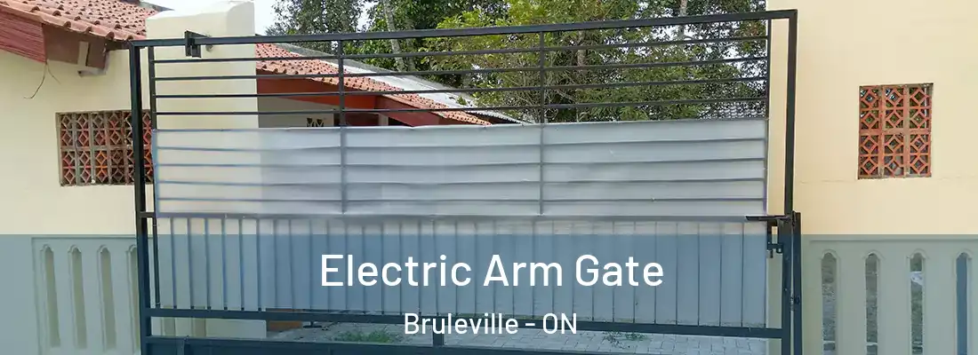  Electric Arm Gate Bruleville - ON