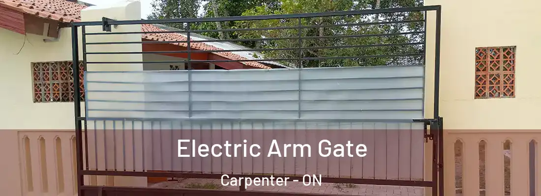  Electric Arm Gate Carpenter - ON
