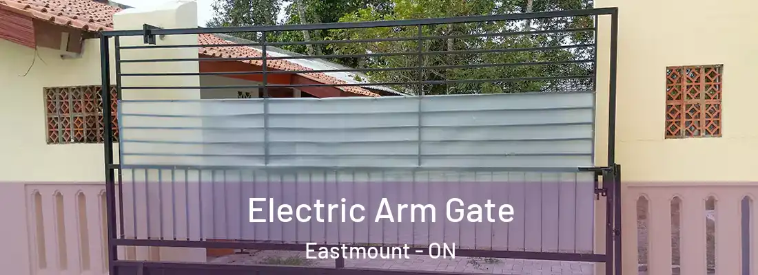  Electric Arm Gate Eastmount - ON