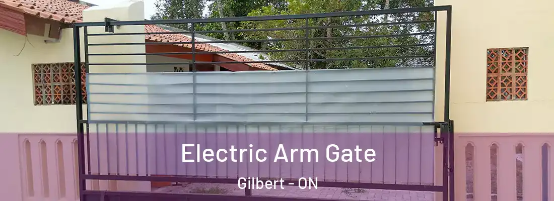  Electric Arm Gate Gilbert - ON