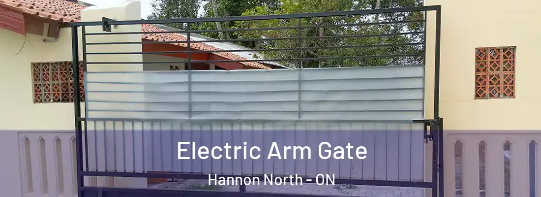  Electric Arm Gate Hannon North - ON