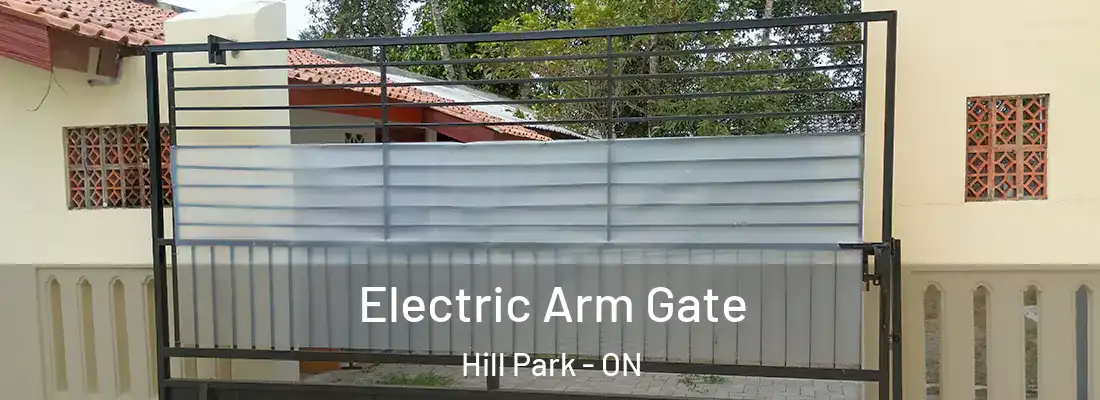  Electric Arm Gate Hill Park - ON