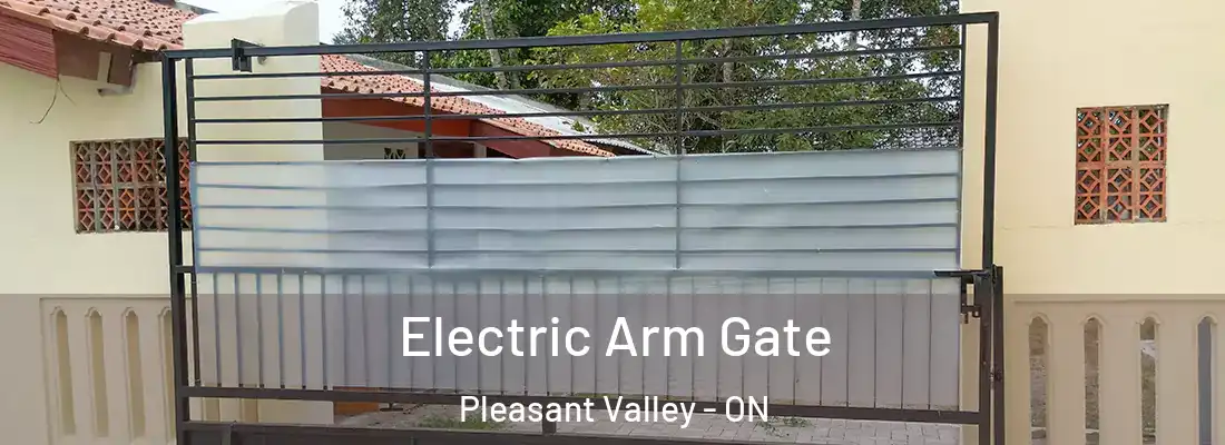  Electric Arm Gate Pleasant Valley - ON