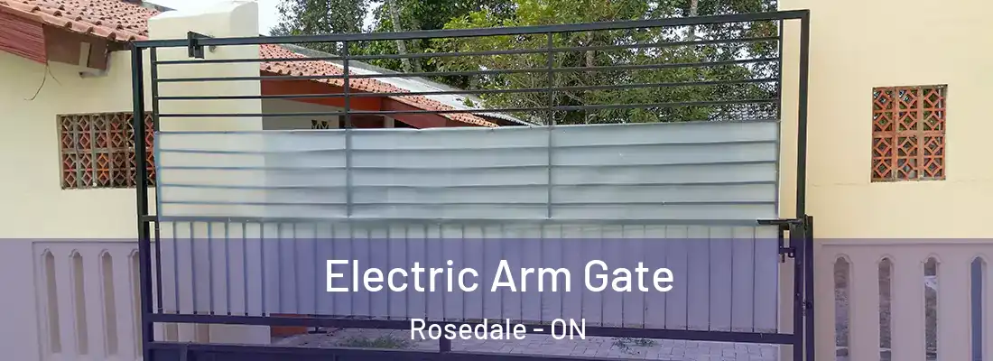  Electric Arm Gate Rosedale - ON