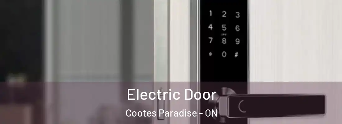  Electric Door Cootes Paradise - ON