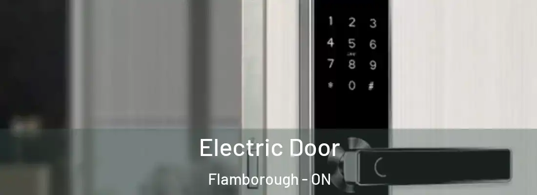  Electric Door Flamborough - ON