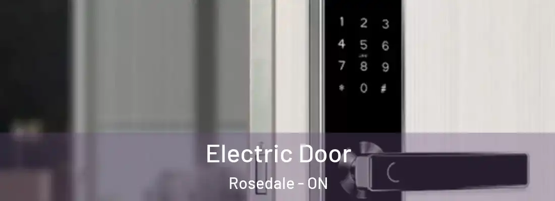  Electric Door Rosedale - ON